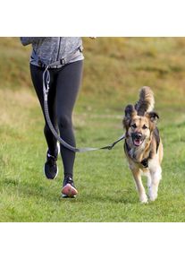 Trixie Bauchgurt mit Leine, gepolstert, 70&ndash;130cm/9cm, 1,2&ndash;1,5m/25mm, grafit/schwarz