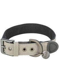 Trixie CityStyle Halsband, extra breit, Baumwolle, hellgrau, M, 35-42cm/25mm