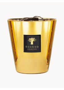 Baobab COLLECTION Four-Wick Scented Candle Exclusives (Jasmine, Galbanum, Musk) Gold Glass Ø 10 x H 16 cm