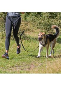 Trixie Bauchgurt mit Leine, gepolstert, 70–120cm/12cm, 1,1–1,5m/20mm, schwarz