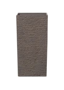 Beliani, Blumentopf, Croton (35 cm)