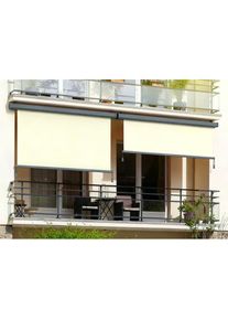 Konifera , Senkrechtmarkise »BW 81003« , beige