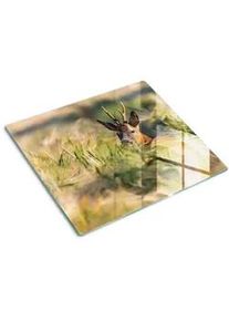 Tulup Glasplatte 60x52 cm Hirschfeld , Braun , Glas , 60x0.4x52 cm , Küchen, Küchenelektrogeräte, Herde, Herdabdeckplatten