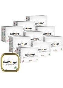 Hungry Lions - Hochwertiges BIO Katzenfutter