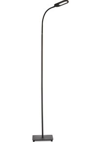 B.K.LICHT Stehlampe &raquo;BK_ST1157 LED Stehleuchte in schwarz, Gr&ouml;&szlig;e H&ouml;he: 158,6 cm