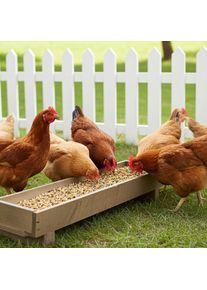 Hönsfoder 25 kg, Premium Kornfoder PLUS, Fjäderfäfoder för Hönor, Gäss, Änder