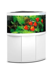 JUWEL Komplett Eck-Aquarium Trigon 350 LED mit Unterschrank SBX wei&szlig;