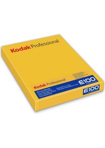 Kodak Ektachrome E100 8x10 Inch 10 Blatt, Analogfilm
