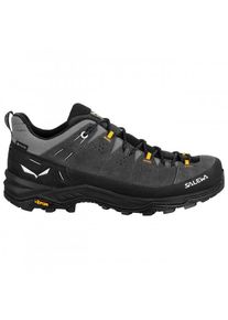 Salewa Alp Trainer 2 GTX Multisport shoes Men (47, black)