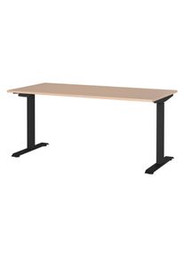 Tchibo - Höhenverstellbarer Schreibtisch »Oviedo« - 160x80x120cm - schwarz - Holz / Metall