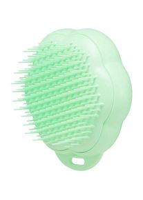 Pet Teezer Cat Grooming Brush Medium Coat Green (Katze, 1000 ml), Tierpflegemittel