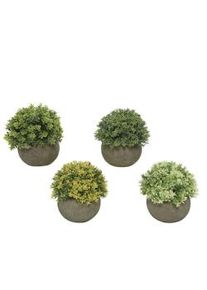Decoris Planta Artificial Con Maceta De Plastico Modelos Surtidos 800297