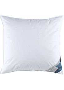 H&auml;ussling Haeussling , 3-Kammer-Kopfkissen &raquo;GR&Ouml;NLAND, Kissen in 40x80 & 80x80 cm&laquo; F&uuml;llung: Au&szlig;enkammer 90% Daunen, 10% Federn; Innenkammer 100% Federn 1 Stk....