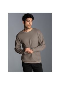 Trigema , Damen , Sweatshirt »Sweatshirt in Waffeloptik« , taupe , M , M , Klassischer Schnitt