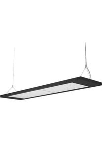 LTS, Pendelleuchte, LED-Pendelleuchte (12570 lm)