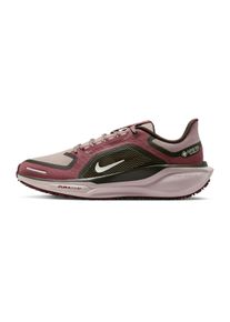 Nike Pegasus 41 GTX Femme
