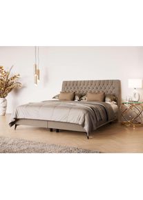 Home Affaire, Polsterbett &raquo;SYDNEE mit Matratze und Topper, in 2 Breiten (160 und 180 cm)&laquo; Boxspringbett mit Kopfteil, Bettkasten, Matratze (BFK/TFK) 