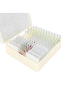 Konus, Mikroskop Zubeh&ouml;r, Preparate Set Cell Reproduction And Development (10 Stk.)
