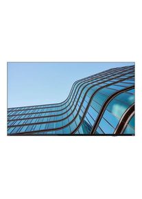 Lenovo ThinkVision E55 LFD