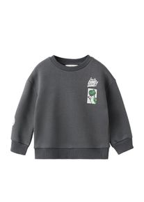 Mango Kids Pojkar Sweatshirt 'TOYDINO' antracit / ljusgrå / gran Storlek 116