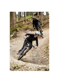 Alpina Sports	 Alpina Sports, Damen, Sportbrille, Bonfire Q-Lite (Braun, Bronze), Braun