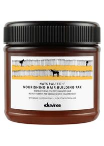 Davines, Haarmaske, Naturaltech Nourishing Hair Building Pak Restorative Mask For Dry And Brittle Hair 60Ml (60 ml)