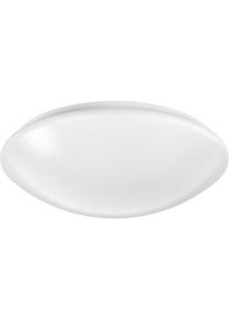 Ridi, Wandleuchte + Deckenleuchte, LED-Wand-u.Deckenleuchte (2500 lm)