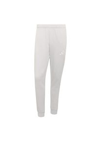adidas Performance Pantaloni sport 'Entrada26' Bărbaţi gri, Mărimea M
