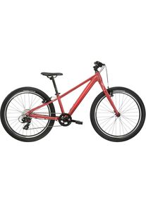 Kross Kinderfahrrad &raquo;Kinder-MTB Lea Jr 1.0&laquo; 8 Gang Shimano TOURNEY TX800 Schaltwerk Kettenschaltung