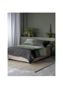 Irisette Bettw&auml;sche &raquo;Koala 8430&laquo; 2 Stk. tlg. kuschelig weiche Winterbettw&auml;sche