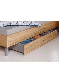 wimex Schubkasten &raquo;Easy&laquo; auf Rollen, praktische Erg&auml;nzung f&uuml;r Betten "Easy"