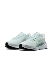Nike Laufschuh &raquo; Pegasus 41&laquo;