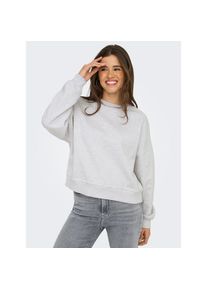 Only Sweatshirt &raquo;ONLDAZE L/S CREW NECK SWT NOOS&laquo;