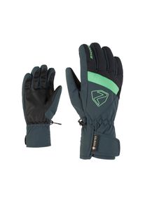 Ziener Skihandschuhe &raquo;LEIF GTX&laquo; gr&uuml;n, Gr&ouml;&szlig;e 4