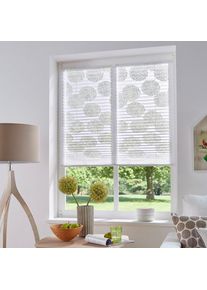 my home Plissee &raquo;BELUM&laquo; Lichtschutz ohne Bohren verspannt im Fixma&szlig;, Ausbrenner, Kreise, Blumen, Klemmtr&auml;ger