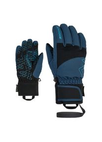 Ziener Skihandschuhe &raquo;LOTAR-Z GTX PR glove&laquo;