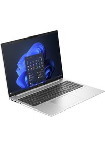 HP EliteBook 860 G11 (16", 1000 GB, 32 GB, Deutschland, Intel Core Ultra 7 265), Notebook, Silber