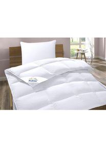 Balette Daunenbettdecke + Kopfkissen &raquo;Lilly&laquo; In 4 W&auml;rmeklassen, in Gr&ouml;&szlig;e 135x200 & 155x220 cm erh&auml;ltlich.