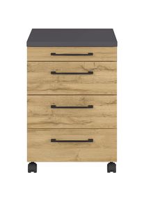 Germania Rollcontainer &raquo;Profi 3.0&laquo; mit feststellbaren Laufrollen