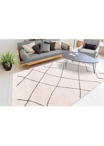 my home Hochflor-Teppich &raquo;Amanda&laquo; rechteckig 27 mm H&ouml;he Wohnzimmer