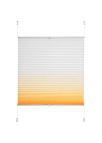 Liedeco Plissee &raquo;Farbverlauf&laquo; Lichtschutz ohne Bohren verspannt