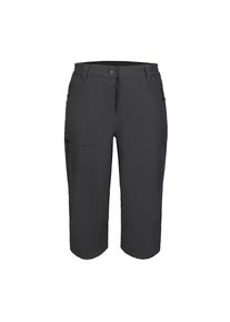 Icepeak Caprihose &raquo;BEATTIE&laquo; wasserabweisend, mit Rei&szlig;verschlusstaschen, mit verstellbarem Bund grau, Gr&ouml;&szlig;e 48
