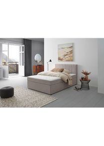 Mid.you Boxbett, Hellgrau, Holz, Textil, Tanne, H3, 7-Zonen, H&ouml;he ca. 20 cm, 120x200 cm, Holzm&ouml;bel, Holzbetten, Boxspringbetten Holz