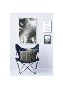 Apelt Dekokissen &raquo;Bj&ouml;rn&laquo;