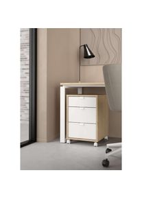 Inosign Rollcontainer &raquo;Sign Rollwagen Rollschrank verschiebarer Transportbeh&auml;lter,&laquo; Zweifarbiges Design, 3 Schubladen, verschiebbar, H&ouml;he 60 cm