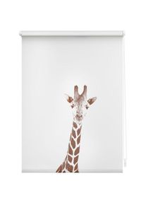 LICHTBLICK ORIGINAL Rollo &raquo;Klemmfix, ohne Bohren&laquo; verdunkelnd Blendschutz Sichtschutz Verdunkelung mit Bohren/ohne Bohren freih&auml;ngend