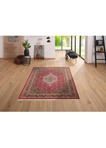 OTTO home, Wollteppich &raquo;Fares&laquo; rechteckig 12 mm H&ouml;he handgekn&uuml;pft, reine Wolle, mit Fransen, Wohnzimmer, rot, Wolle, B : 60 cm 1 Stk. -12 mm, rot