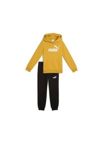 Puma, Unisex, Trainingsanzug &raquo;ESS NO.1 LOGO SWEAT SUIT TR PS&laquo; 2 Stk. zweiteiliges Set, mit Kordelzug, gerippte B&uuml;ndchen, Archive Gold, 116, Regular 