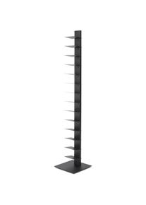 Regal Sapiens Anthrazit /