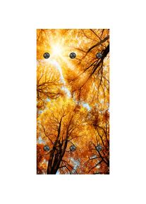 queence Wandgarderobe &raquo;Herbst Sonnenaufgang im Wald&laquo; 1 Stk. tlg. Wandpaneel aus Acrylglas inkl. 6 Edelstahlhaken in schwarz matt